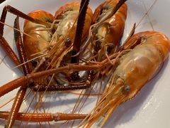 -顺德了能馆(虎门店)