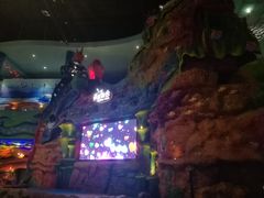 -青岛嘉年华主题乐园