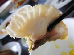 -乌梁素海景区
