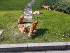 -中共上海市委党校 上海行政学院