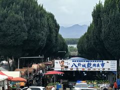 -特克斯八卦城