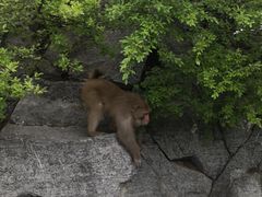 -神农山景区
