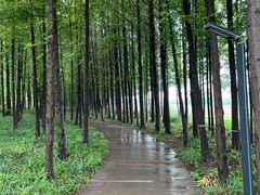 -云龙湖旅游景区