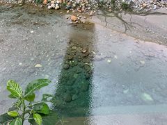 -太鲁阁公园