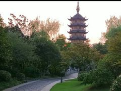 -红梅公园