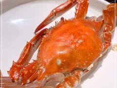 -水裹汤泉生活馆餐厅