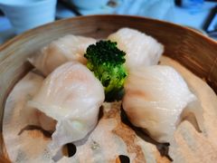 -悦景酒家(罗湖店)