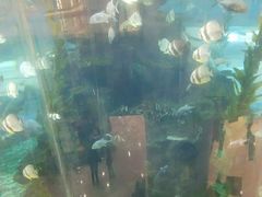 -鸿通城购物中心