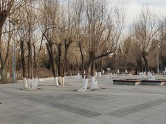 -青城公园