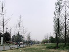 -两河城市森林公园