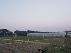 -上膳源有机农场