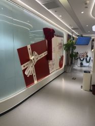 -联合丽格·张菡丽格医疗美容