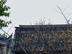 -阿育王寺