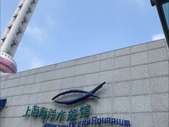 -上海海洋水族馆