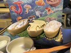 -季季山•云南野生菌火锅(上海首店)