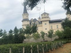 -北京张裕爱斐堡酒庄