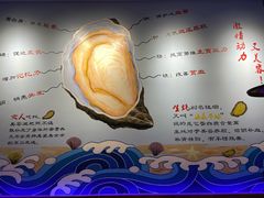 -千岛蚝高压锅生蚝·人参火锅(白云万达店)