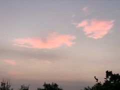 -西海岸生态观光园