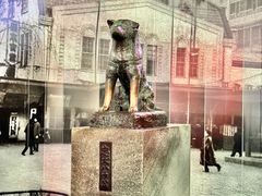-涩谷全向十字路口