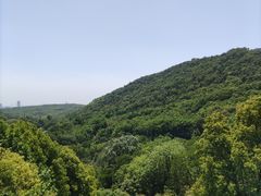-南京老山国家森林公园
