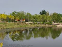 -东郊湿地公园