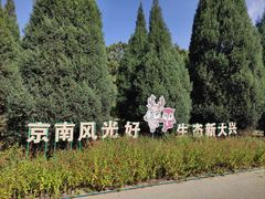 -大兴滨河森林公园