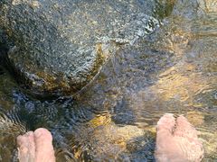 -象头山国家级自然保护区