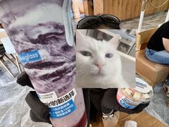 -Blueglass酸奶(财富购物中心店)