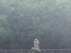 -太子山公园(园东路)