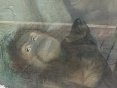 -贵州森林野生动物园