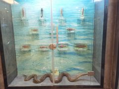 -下渚湖国家湿地公园科普馆