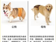 -爱妮康宠物医院·干细胞免疫细胞·肿瘤·心脏(张江店)