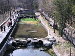 -白水寺森林公园