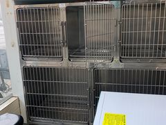 -安安宠医·安宠宠物医院