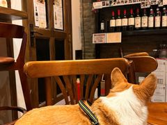 -Bistro Les Lilas丁香花小酒馆