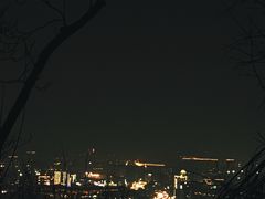 -紫金山山顶公园