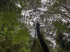 -赤水丹霞旅游区·佛光岩