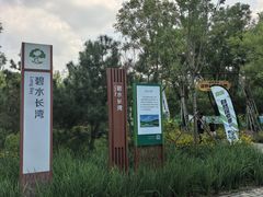 -东郊湿地公园