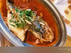 -老广酒楼(樱花店)