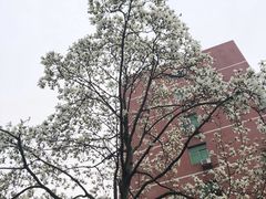 -湖南师范大学-木兰路食堂
