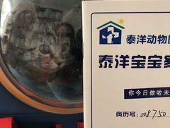 -泰洋动物医院·神经专科·磁共振·CT(天河公园总院)