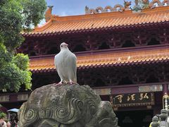 -深圳仙湖植物园