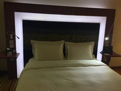 -郑州美豪诺富特会展中心酒店