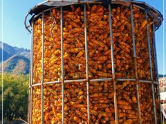 -云岫谷游猎自然风景区