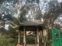 -华山儿童公园