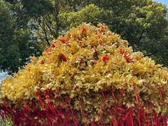 -狼山风景名胜区