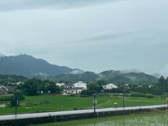 -黄牛肉馆·皖南土菜