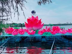 -长春市南湖公园