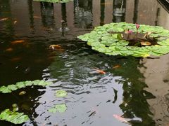 android_upload_pic-三亚亚龙湾五号度假别墅酒店