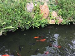 -绿华园休闲山庄